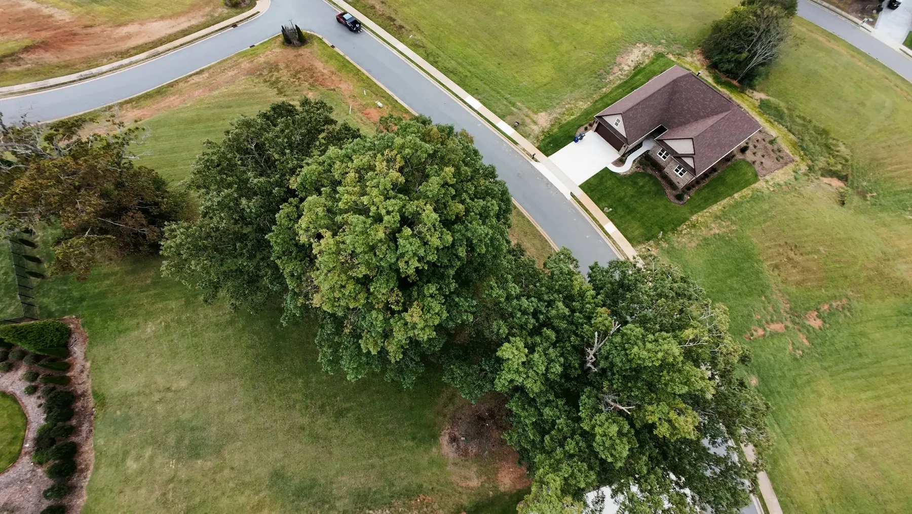 Aerial view of the lot and tree line